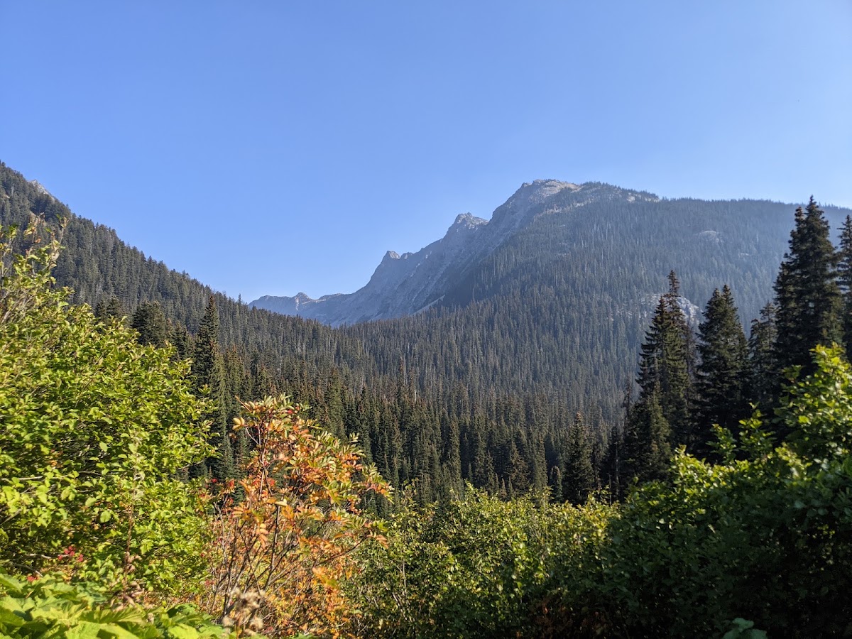 Bridge Creek