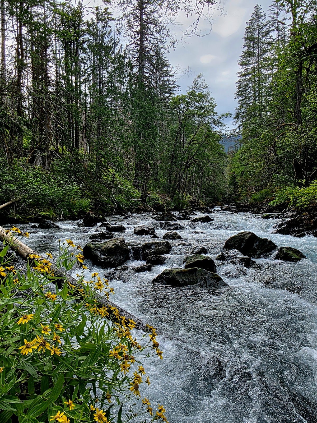 Hamma Hamma River