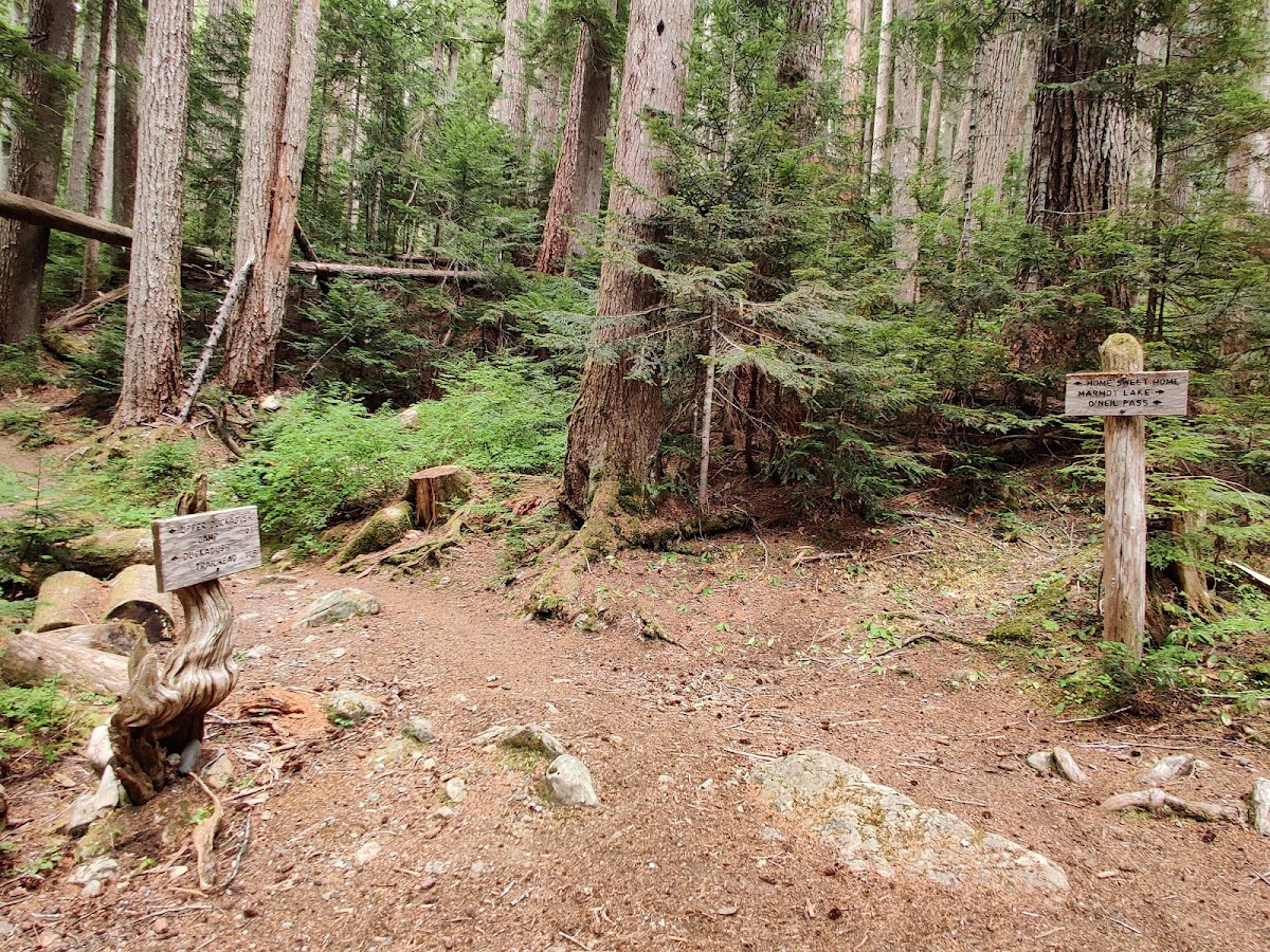 North Fork Skokomish River