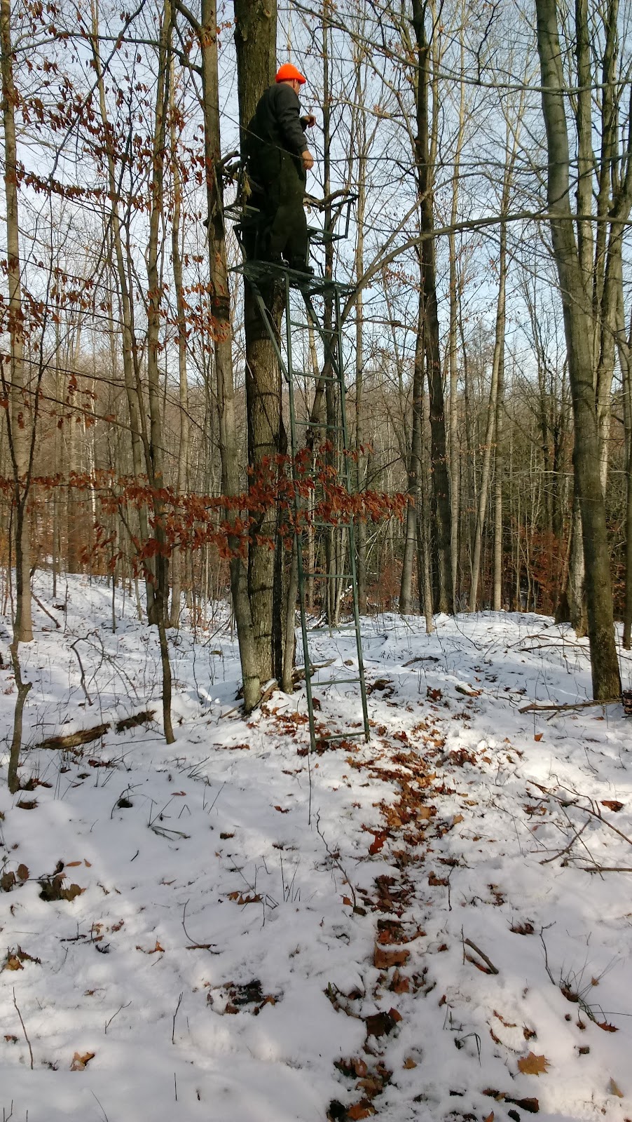 Middle Branch River