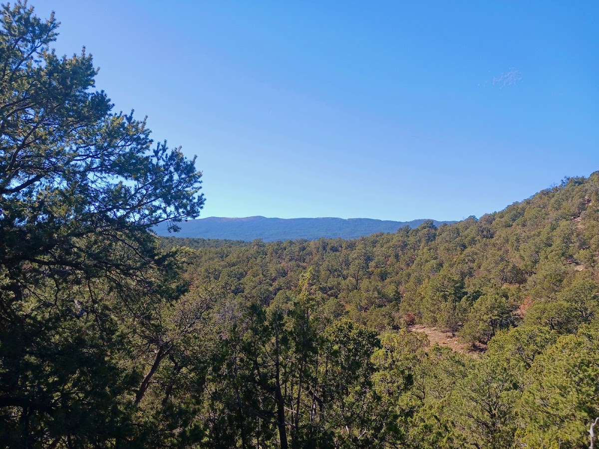 Gutierrez Canyon-Milne Open Space