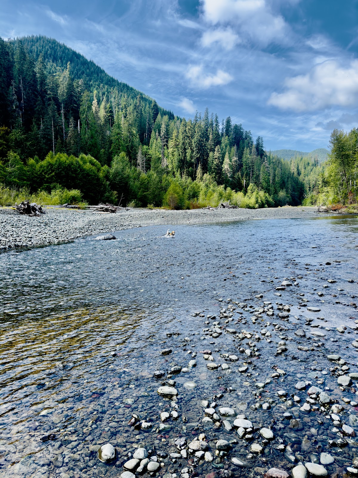 South Fork Skokomish River