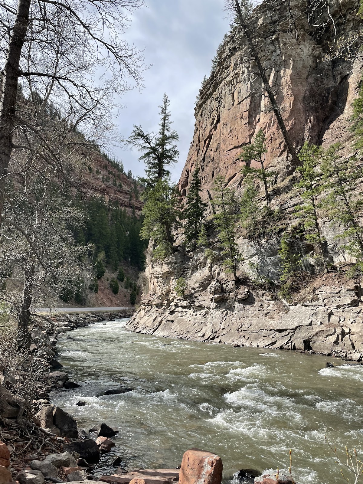 Crystal River