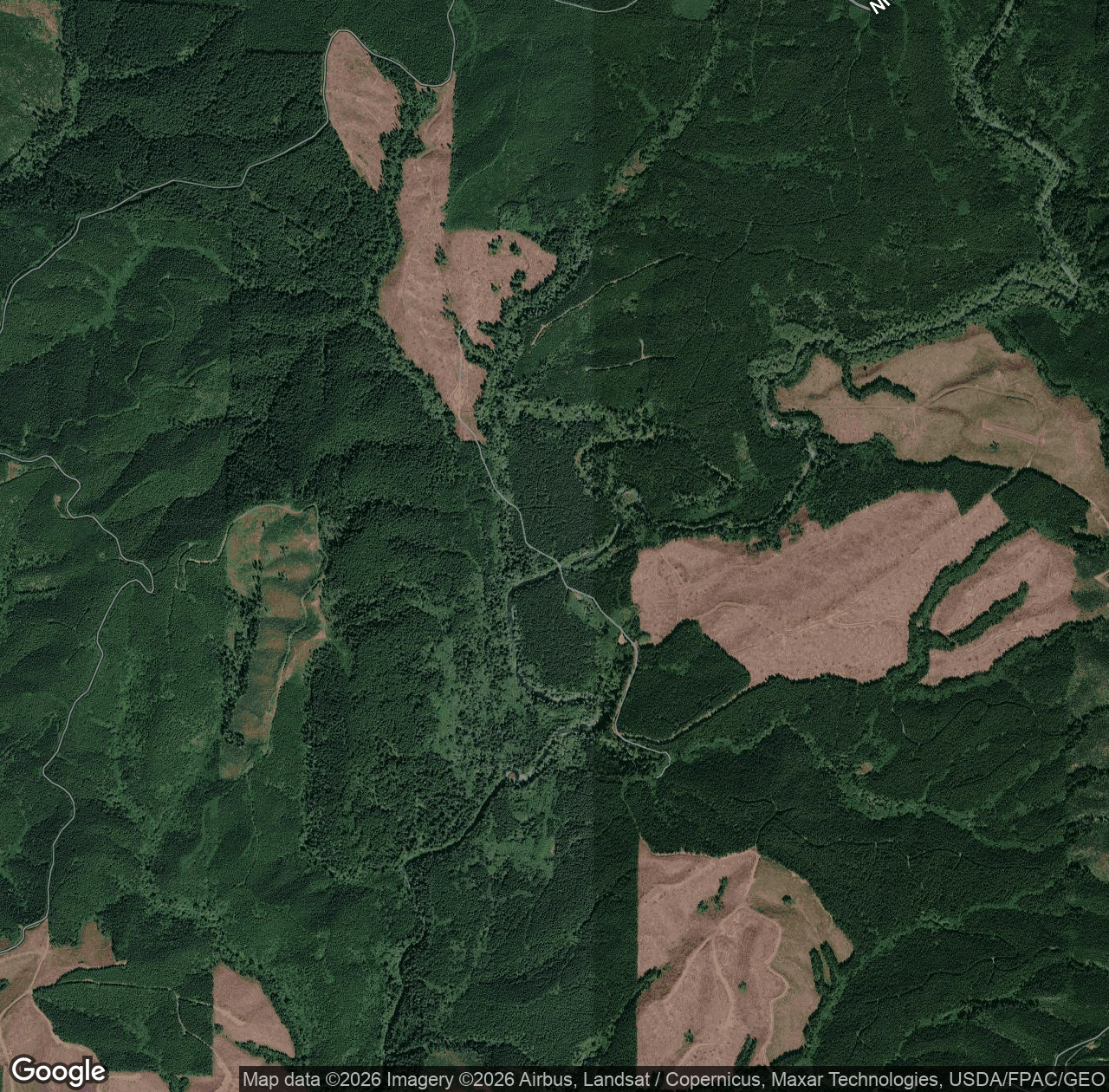 East Fork Humptulips River