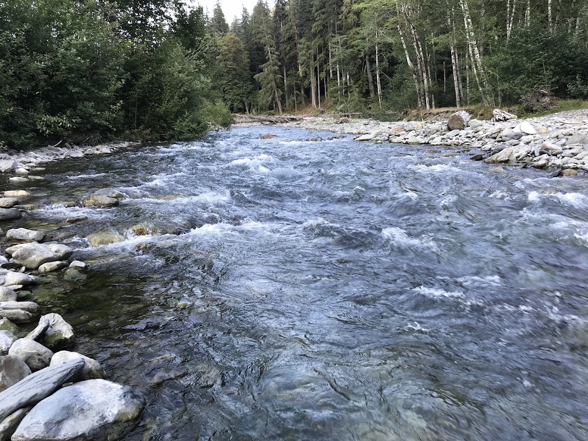 Pyrites Creek