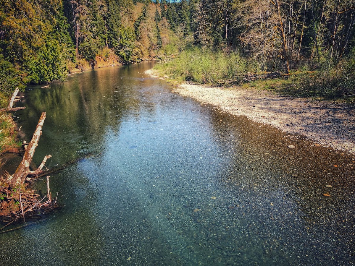 West Fork Humptulips River