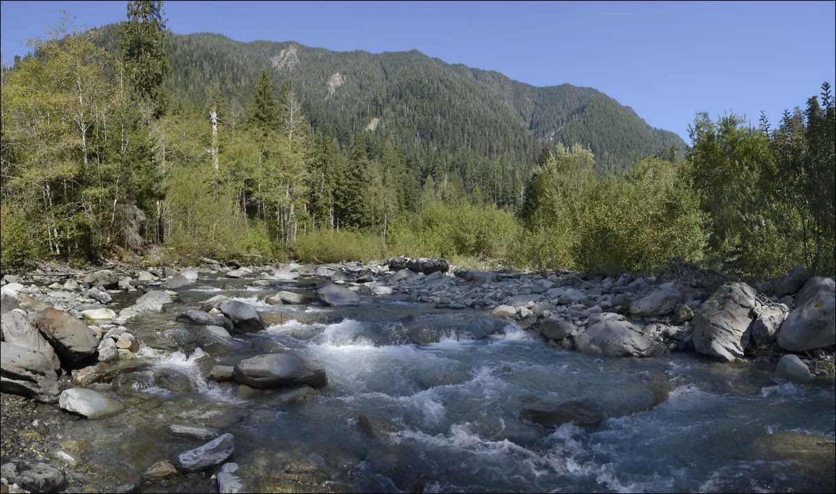 Rustler Creek