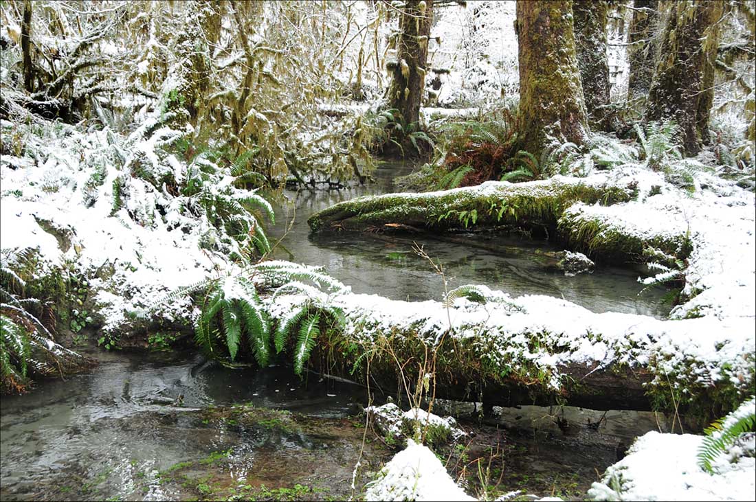 Phelan Creek