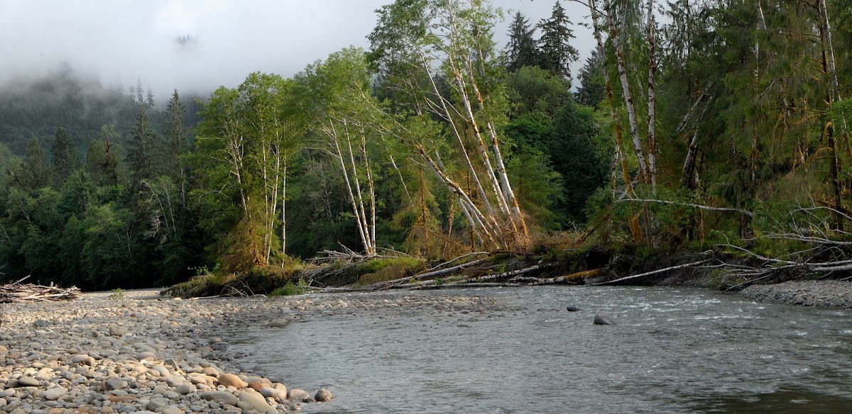 Sams River