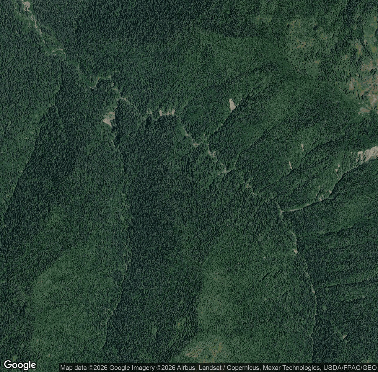 Alta Creek