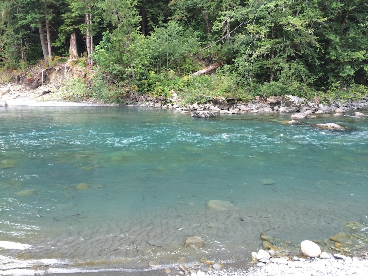 Bob Creek