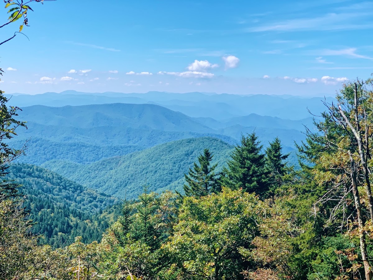 Richland Balsam Nature Trail