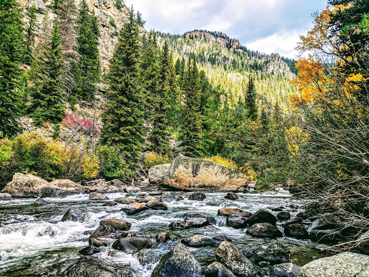 Taylor River