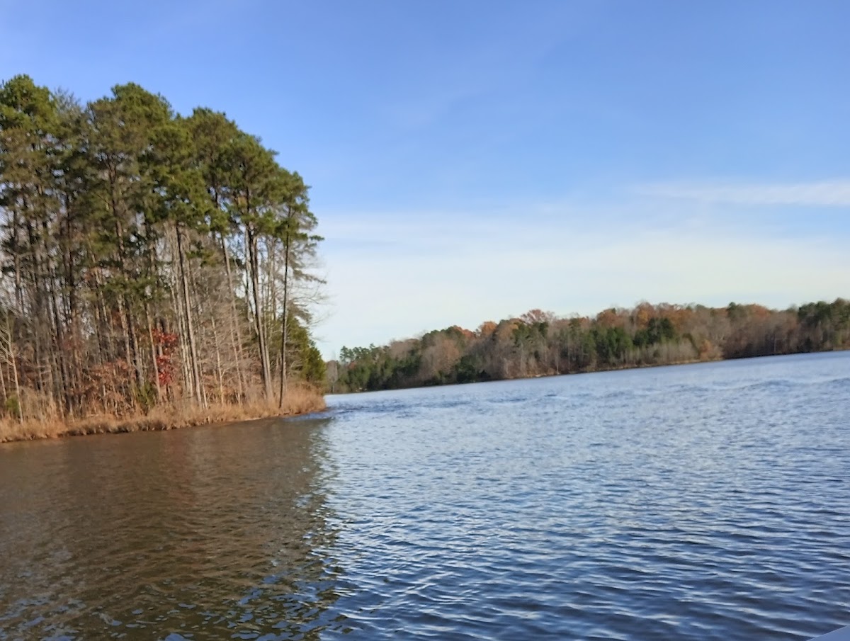 Randleman Lake