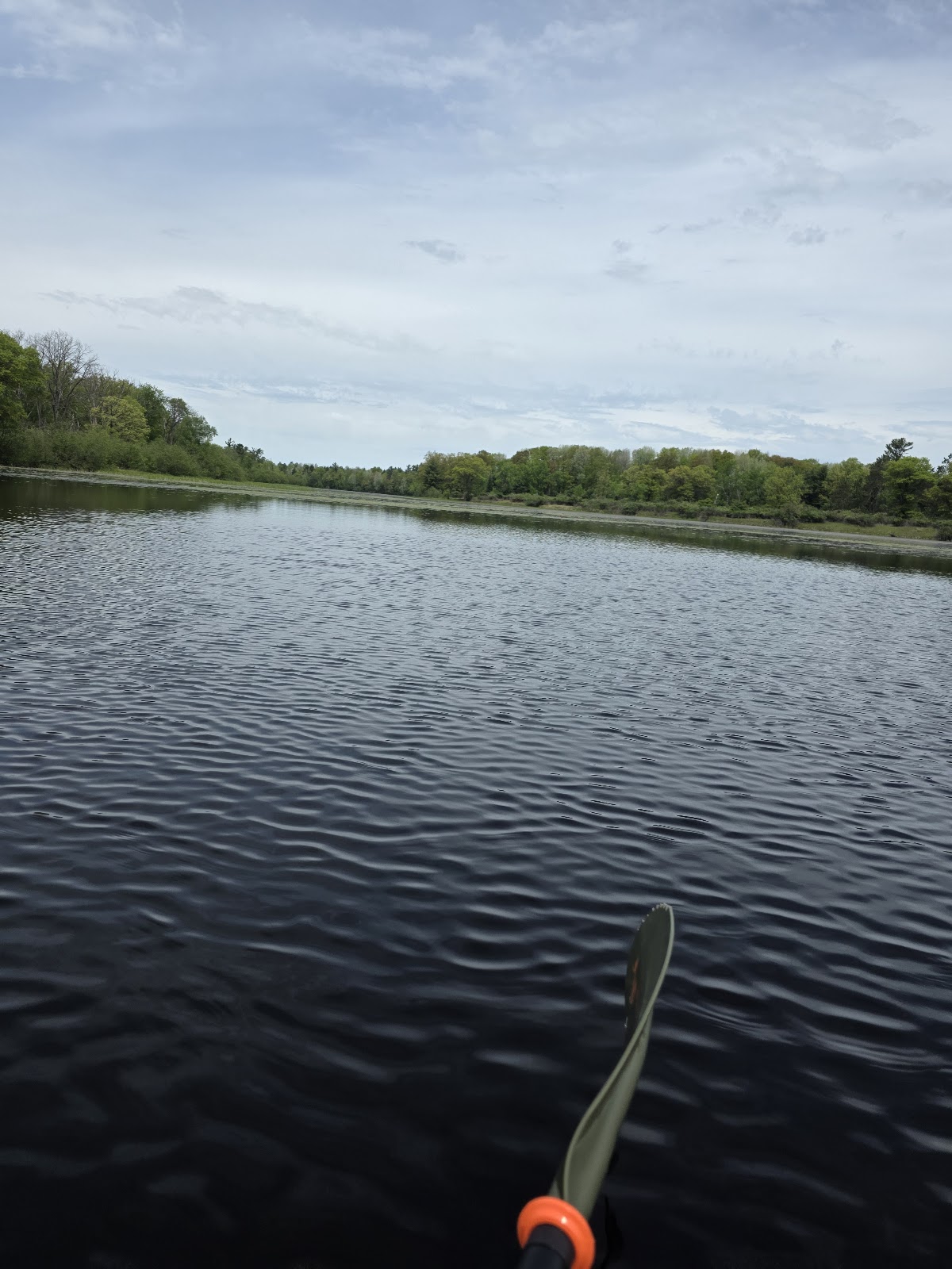 Rosebush Lake