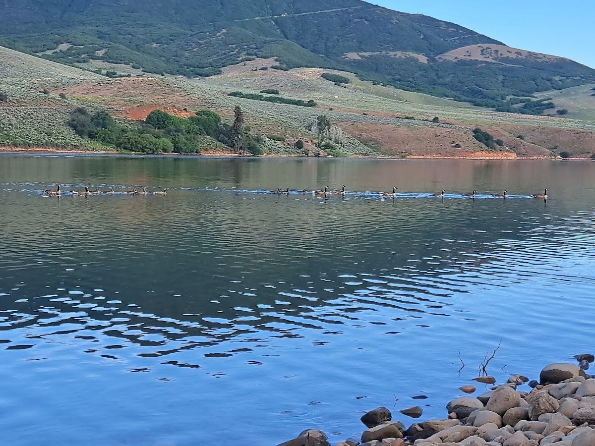 East Canyon Reservoir
