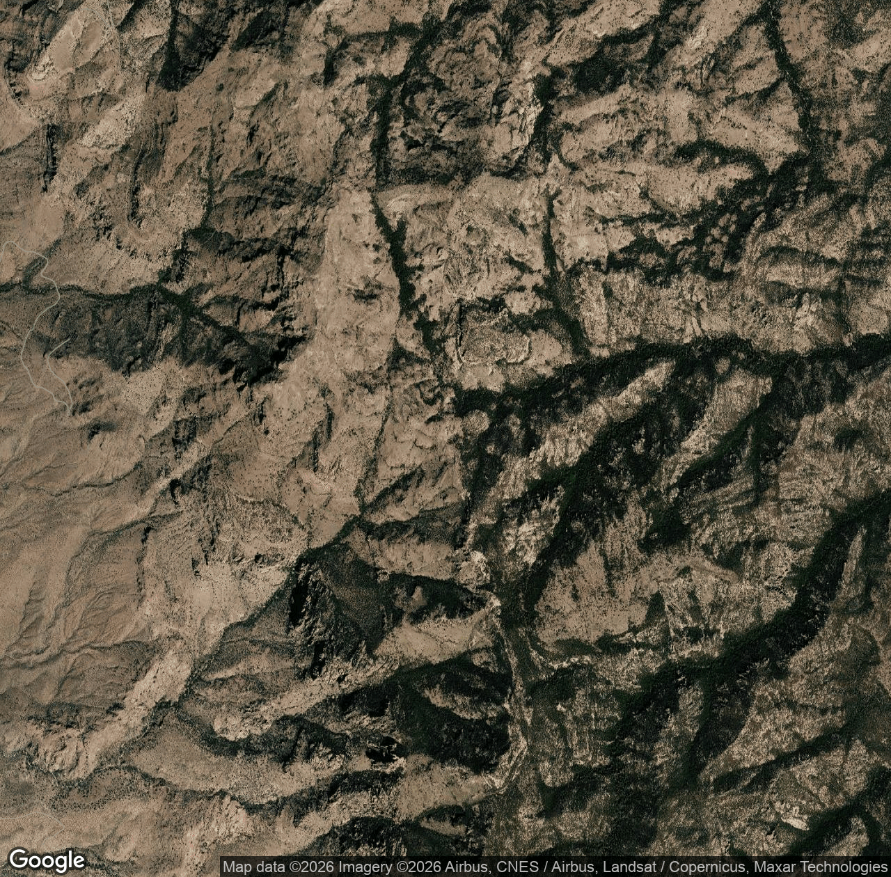 West Divide Trail #289