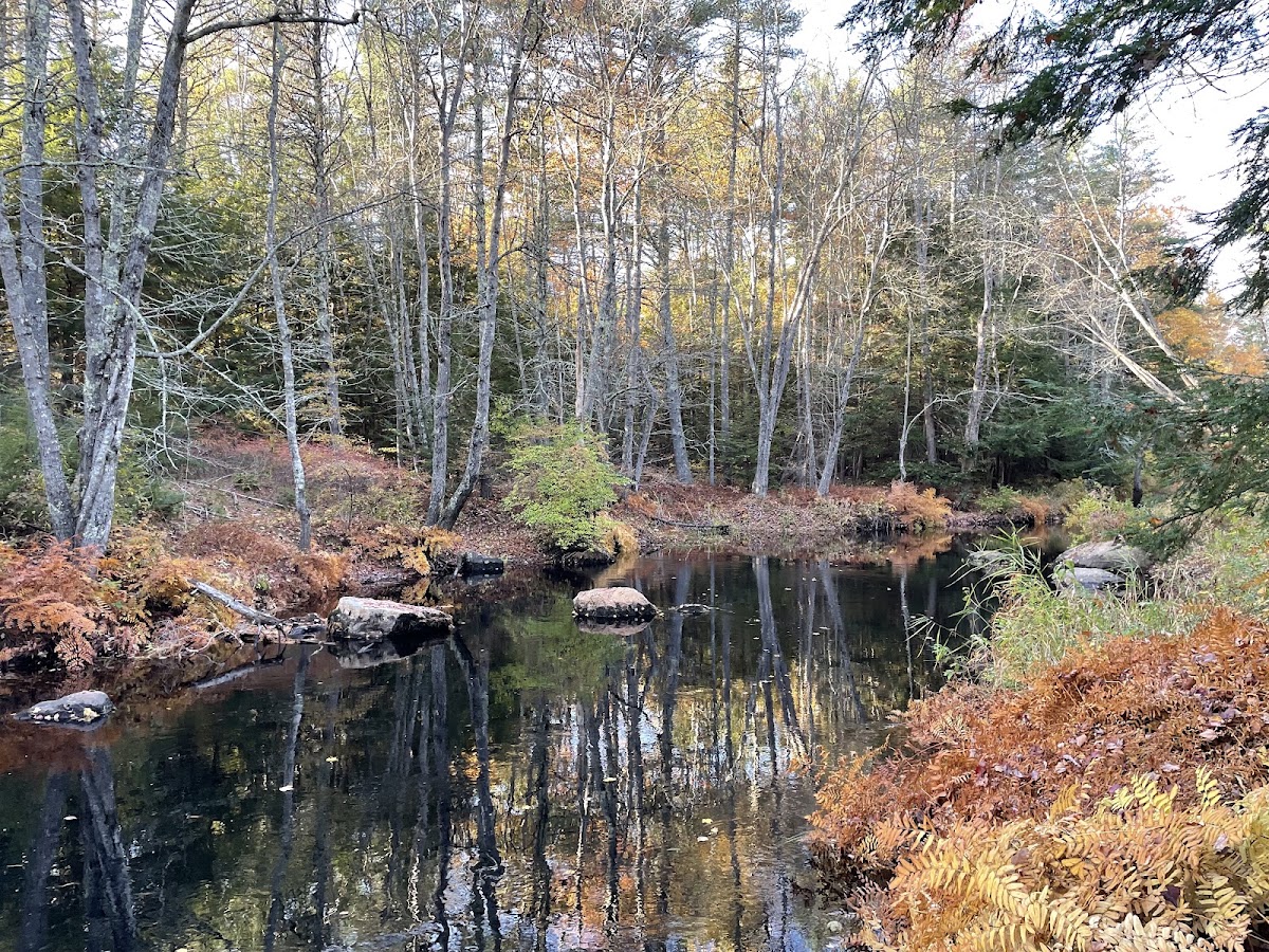 North River