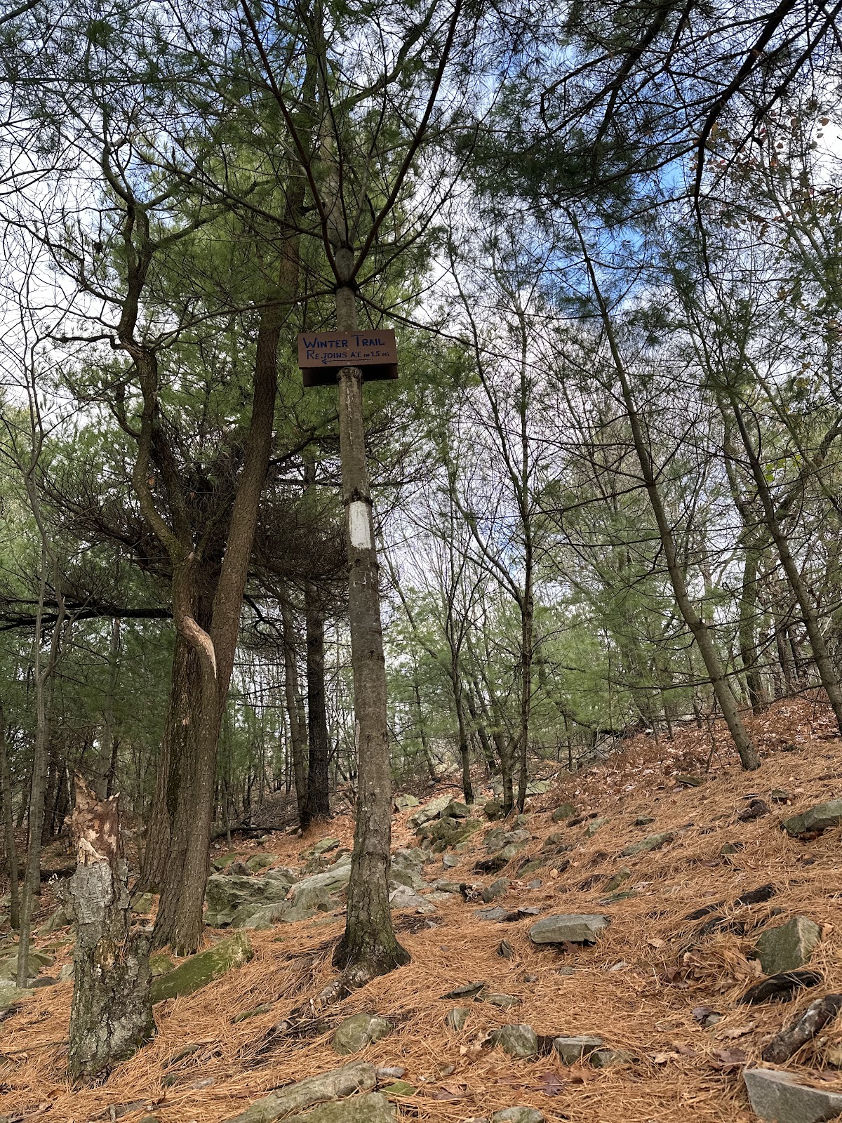 Winter Trail