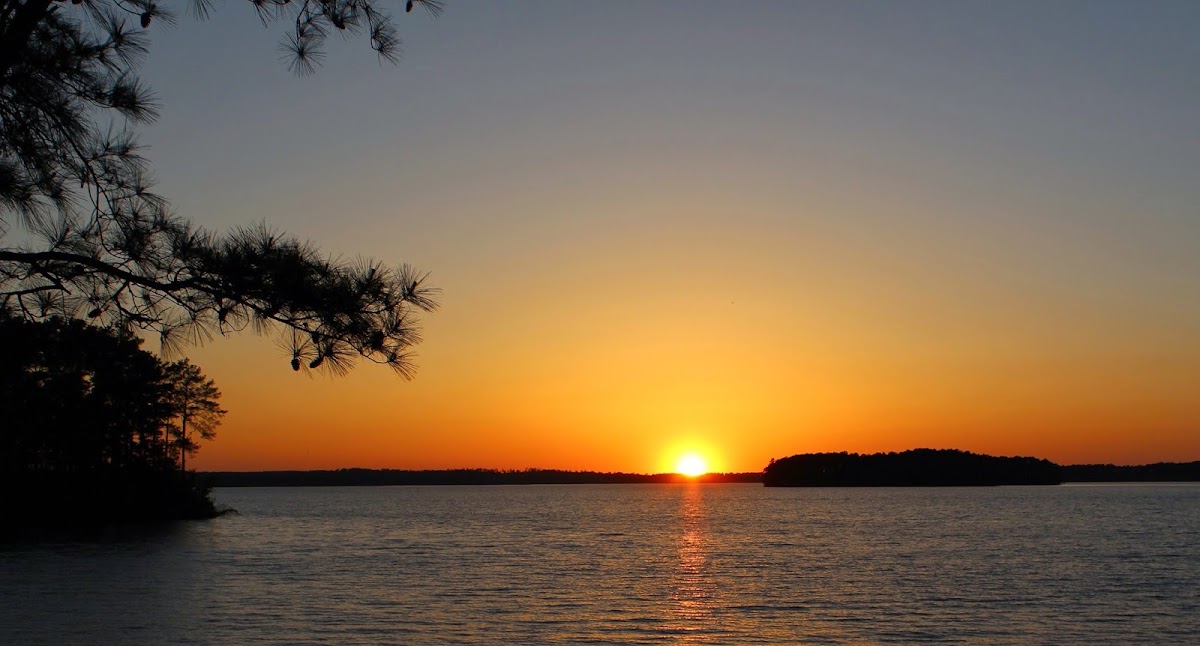 Hamilton Branch State Park