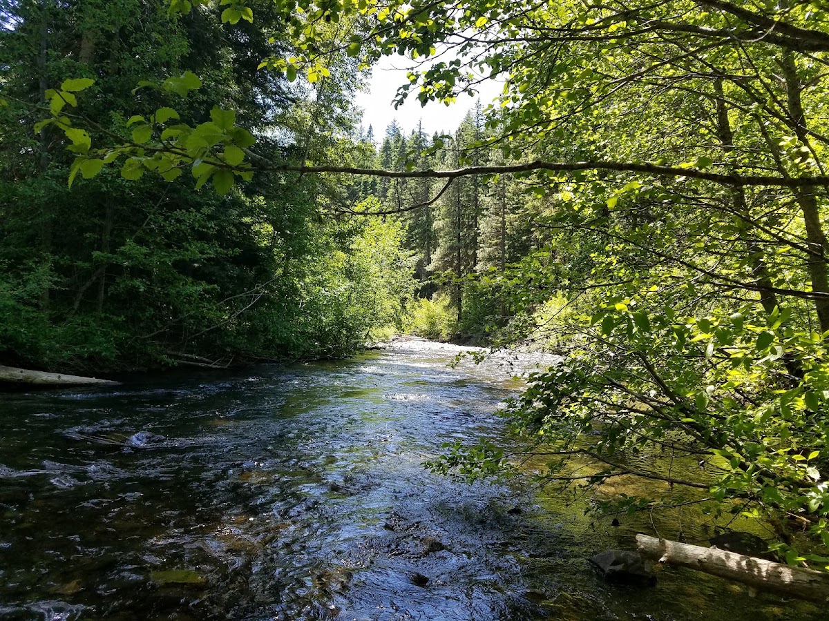 Middle Fork Teanaway Trail