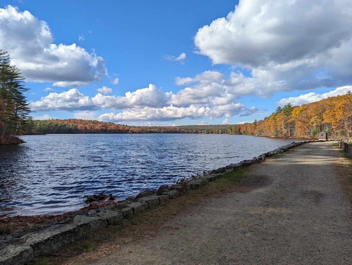 Tower Hill Pond