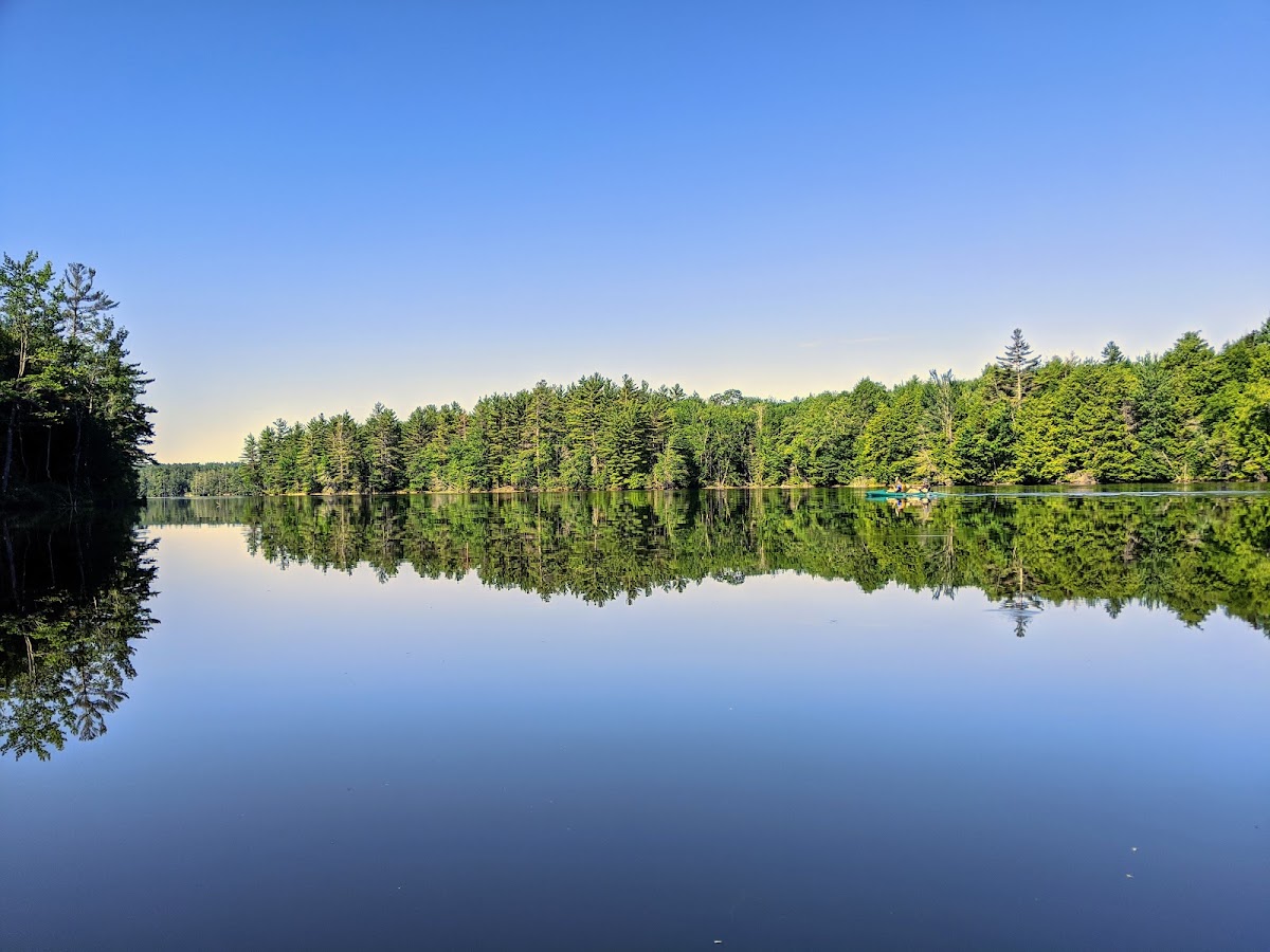 Grafton Pond
