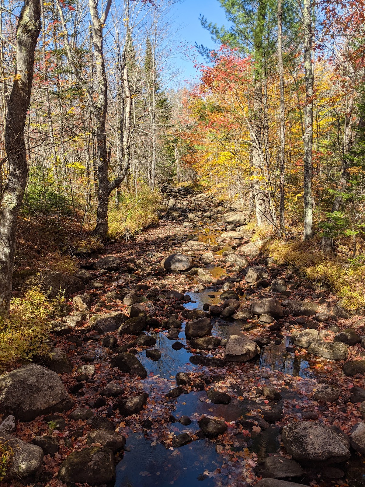 Gile State Forest