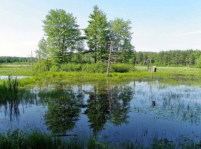 Beaver Brook Association