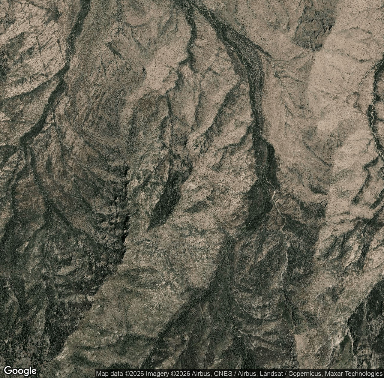 Nuttall Trail #303