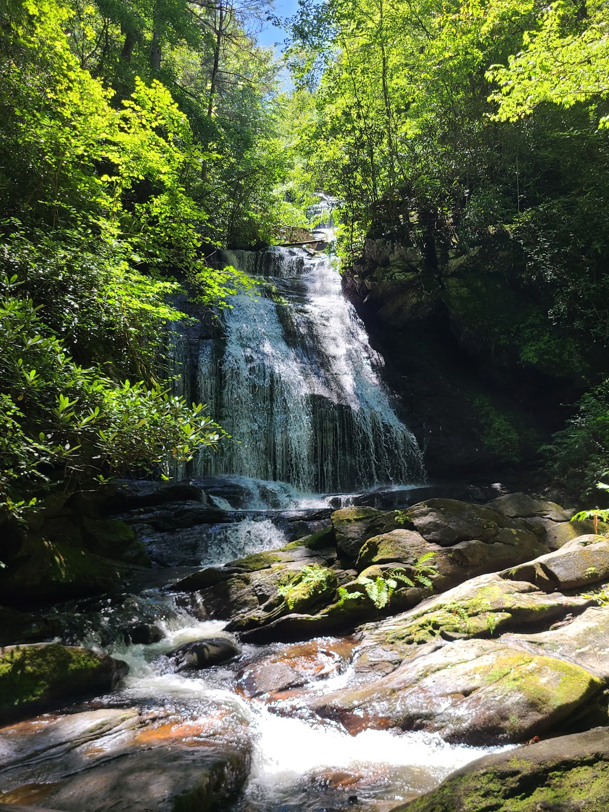 Opossum Creek Falls Trail