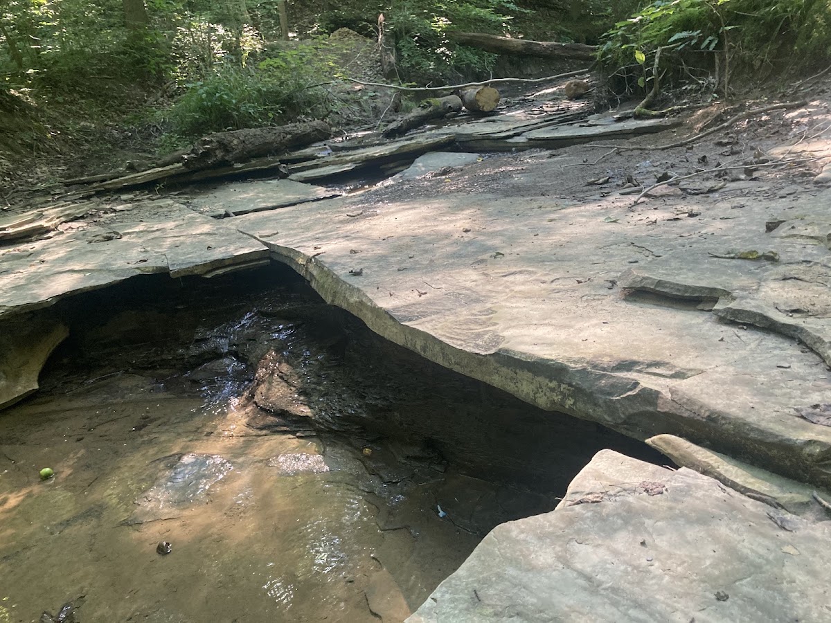 Wetmore Trail