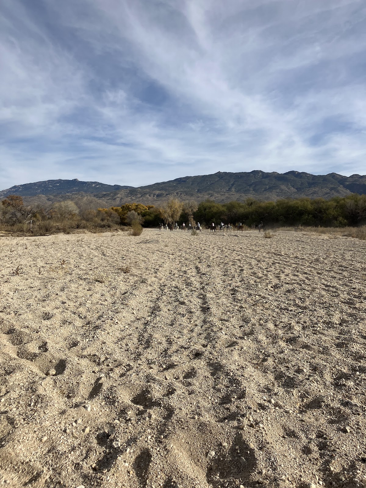 Tanque Verde Wash