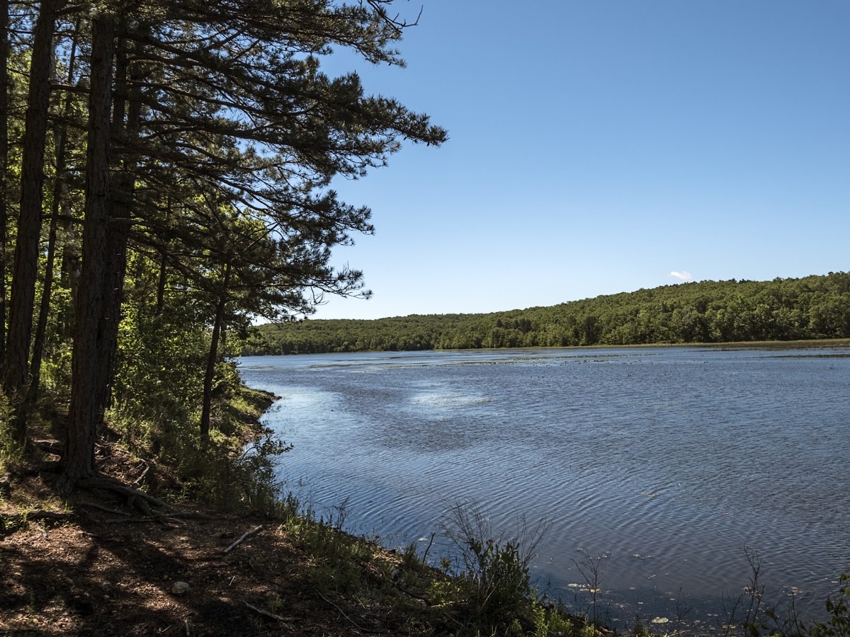 Crane Lake