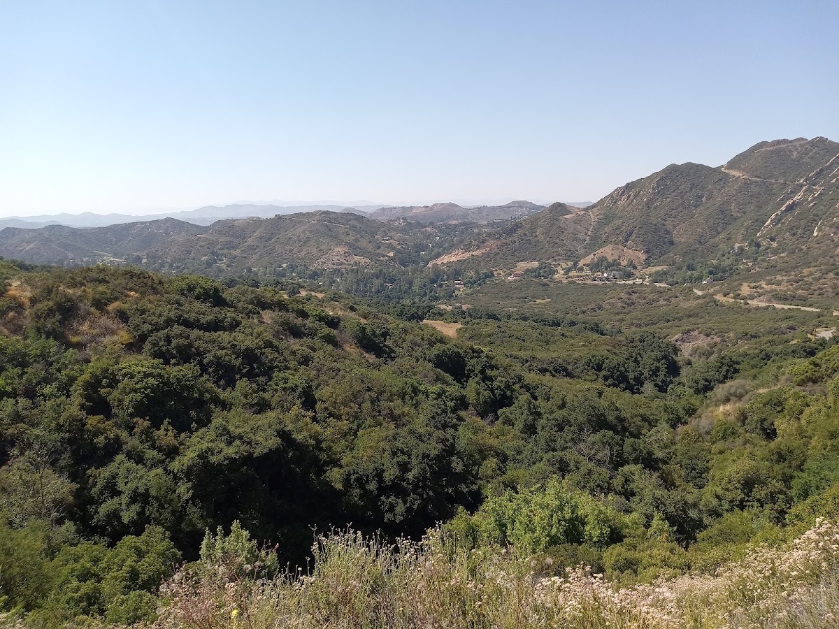 Lower Stunt High Trail