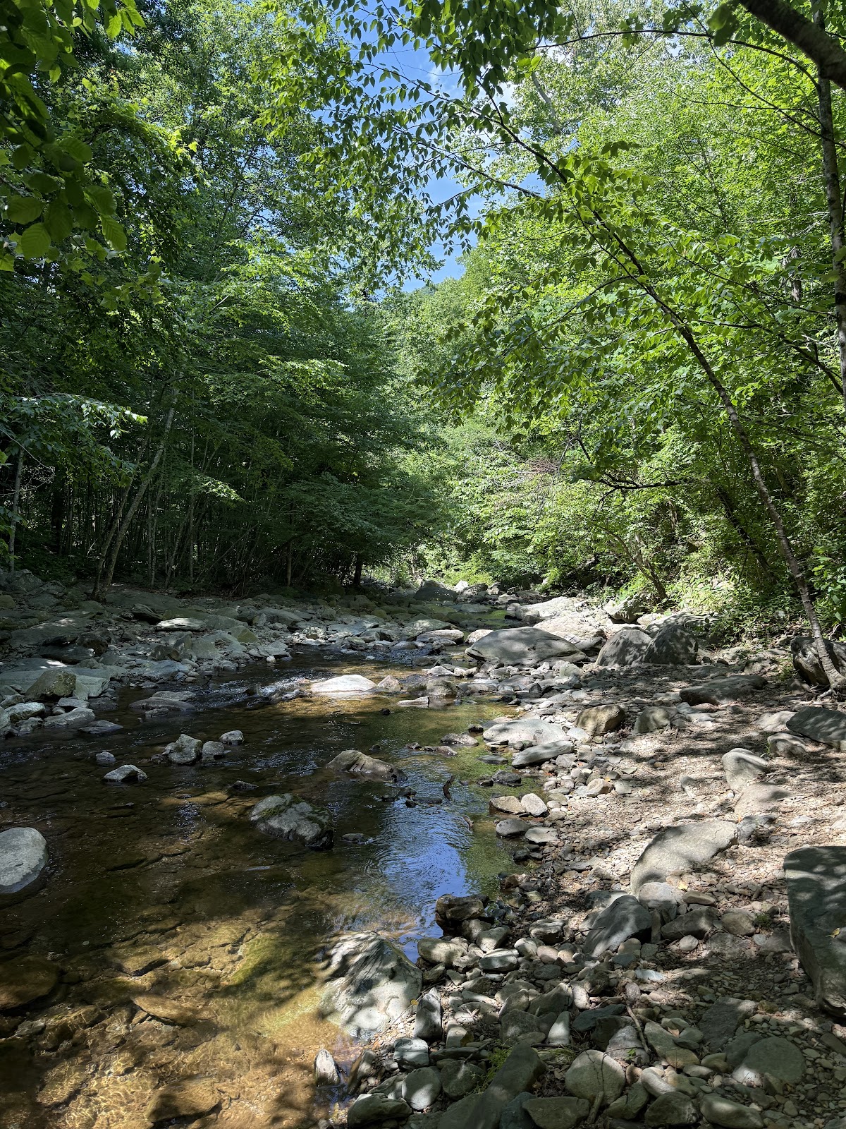 South Fork Moormans Fire Road