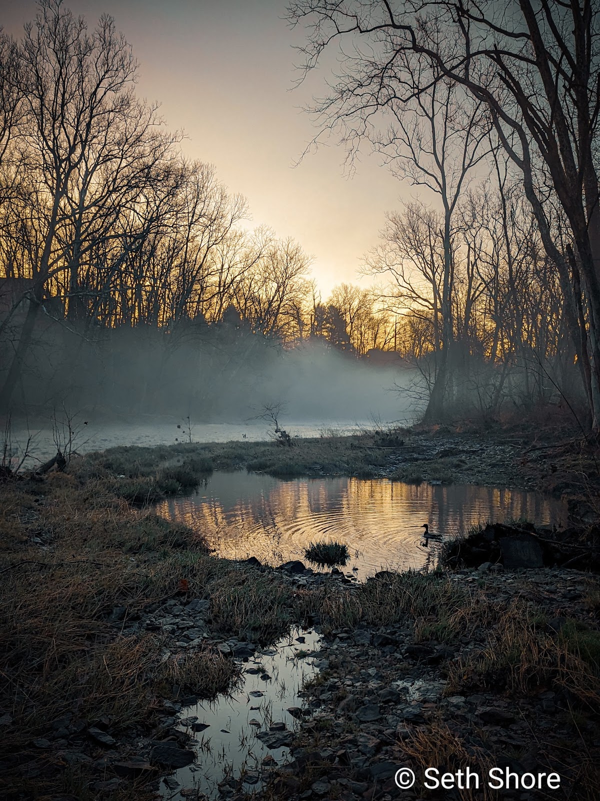 Dark Hollow