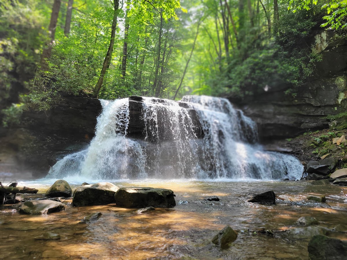 Holly River
