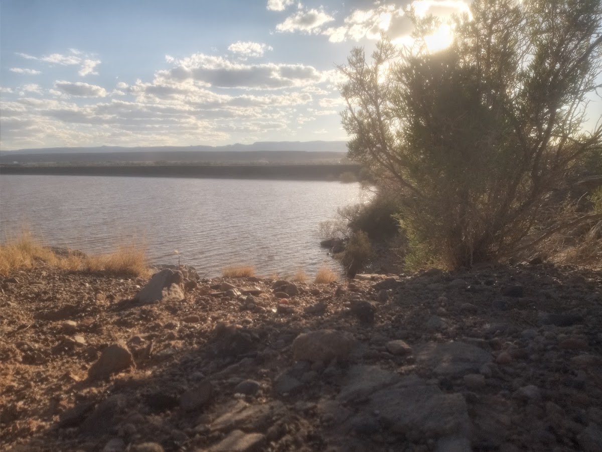 Many Farms Lake