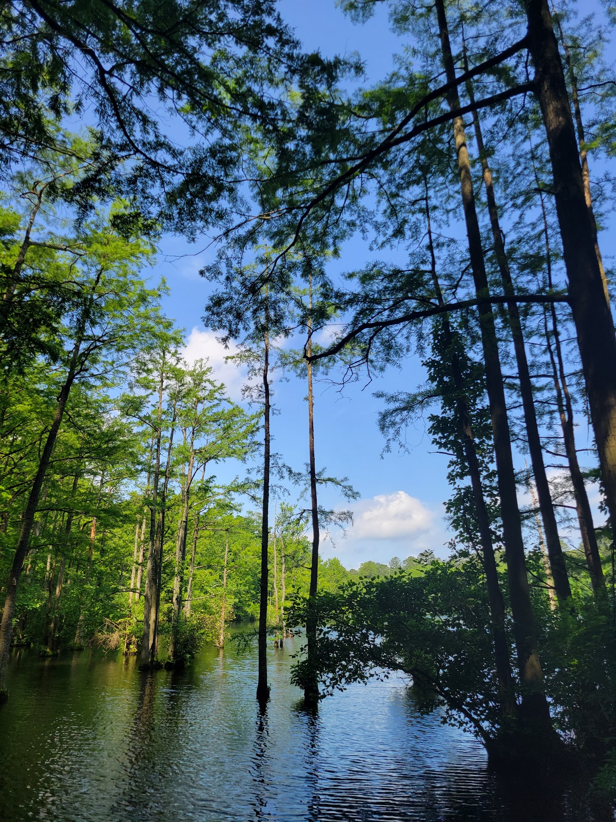 Lake Kilby
