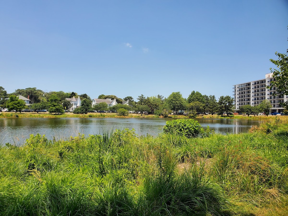 Lake Gerar Park