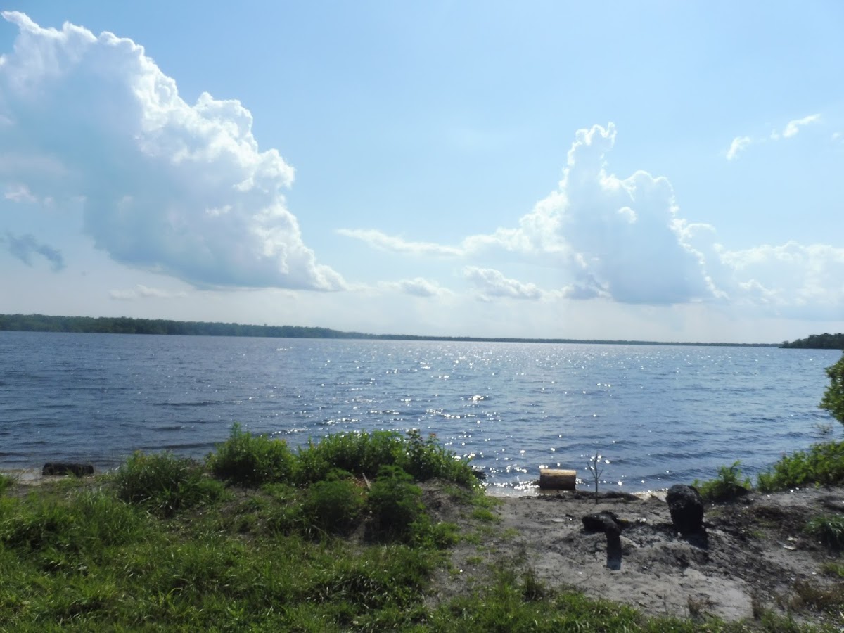 Catfish Lake