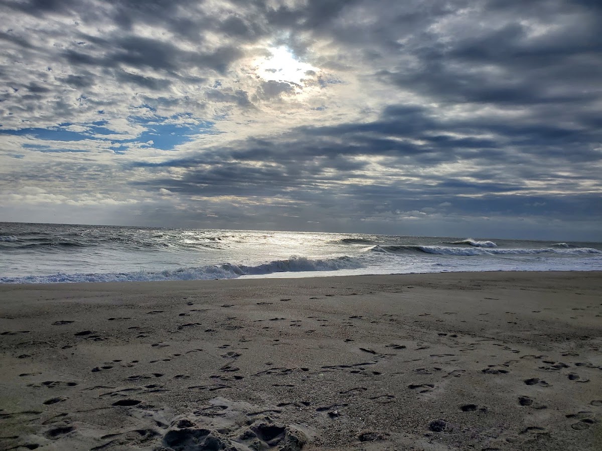 Fort Fisher State Park