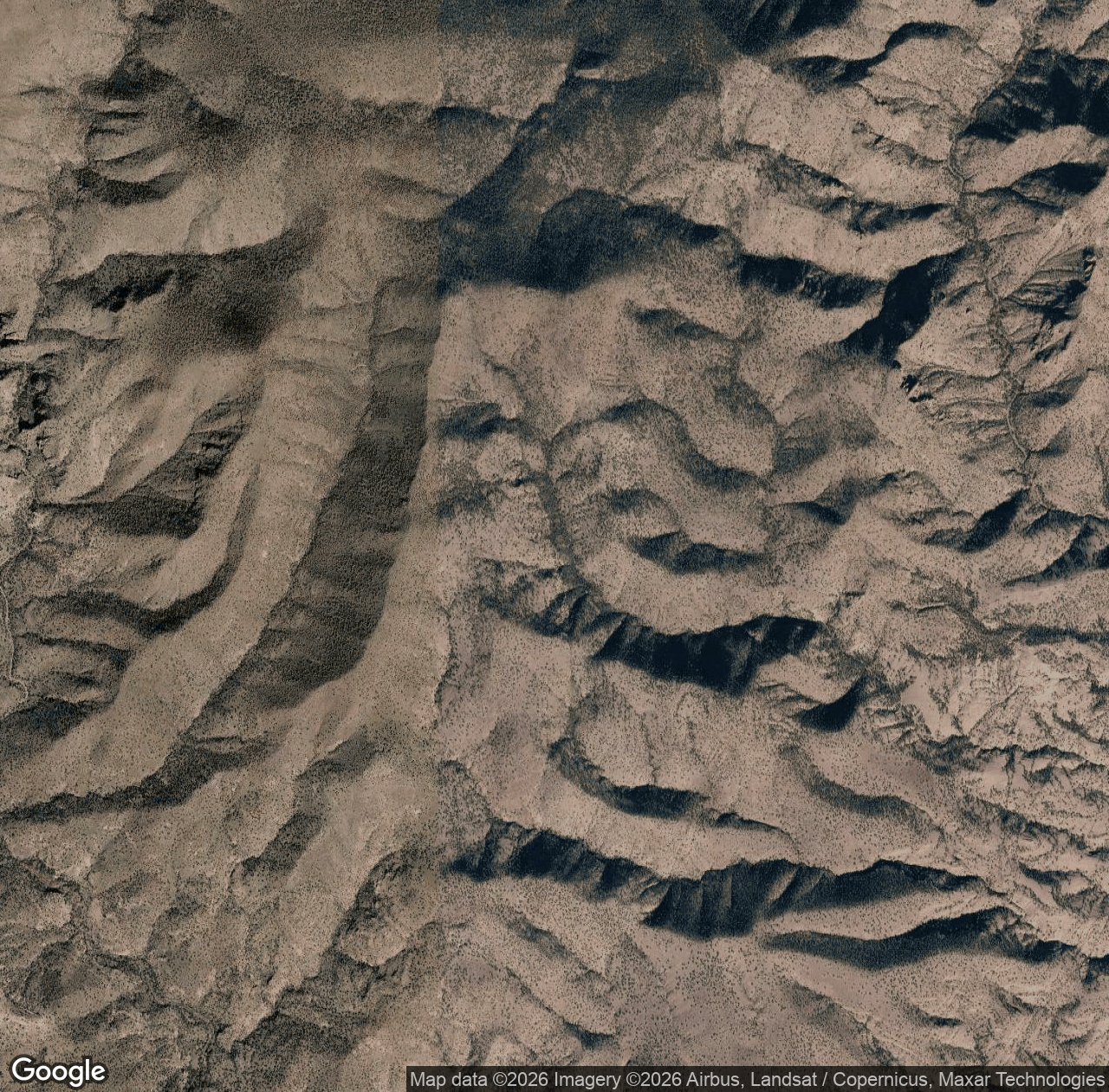 Trail #546