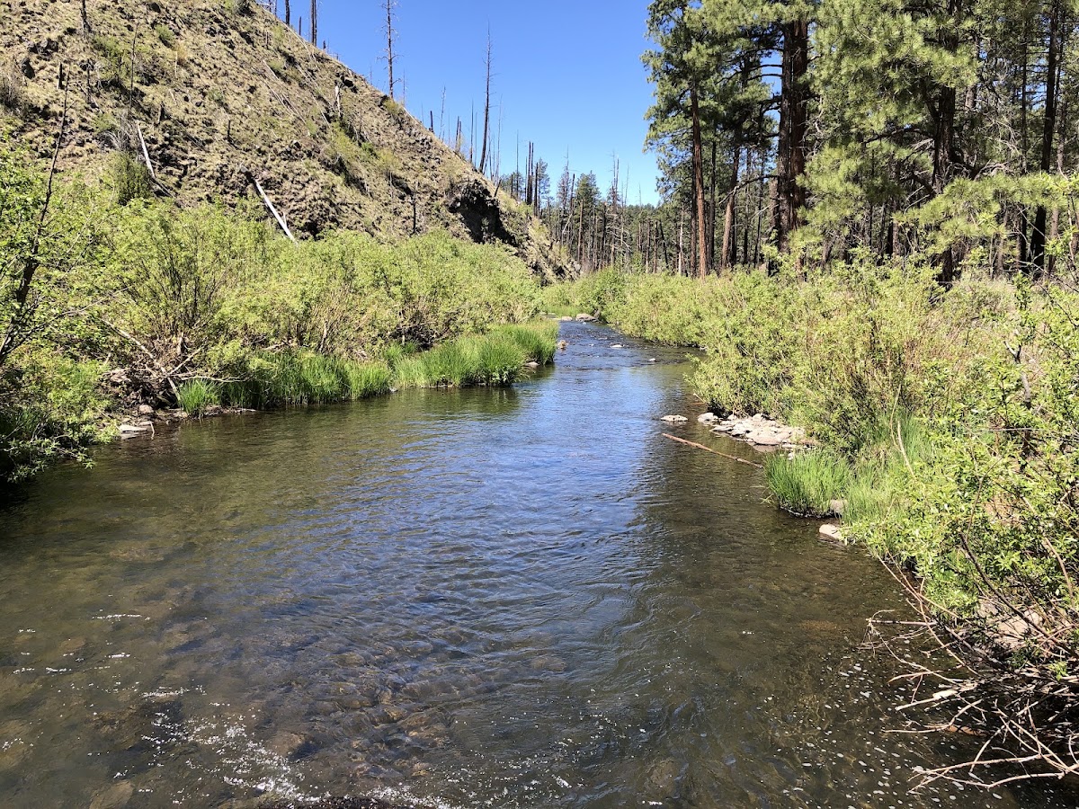 East Fork Black River