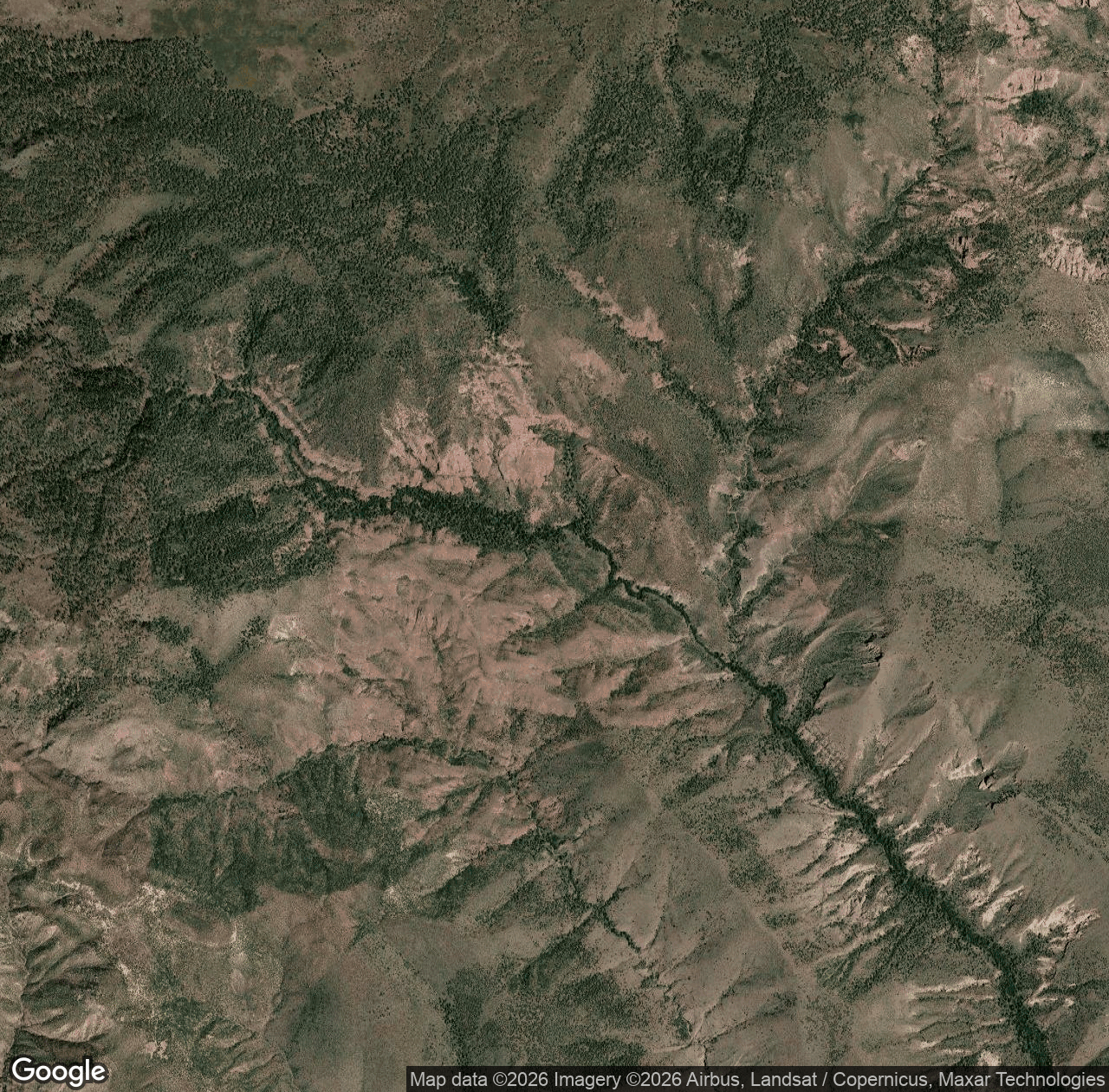 Grant Creek #75