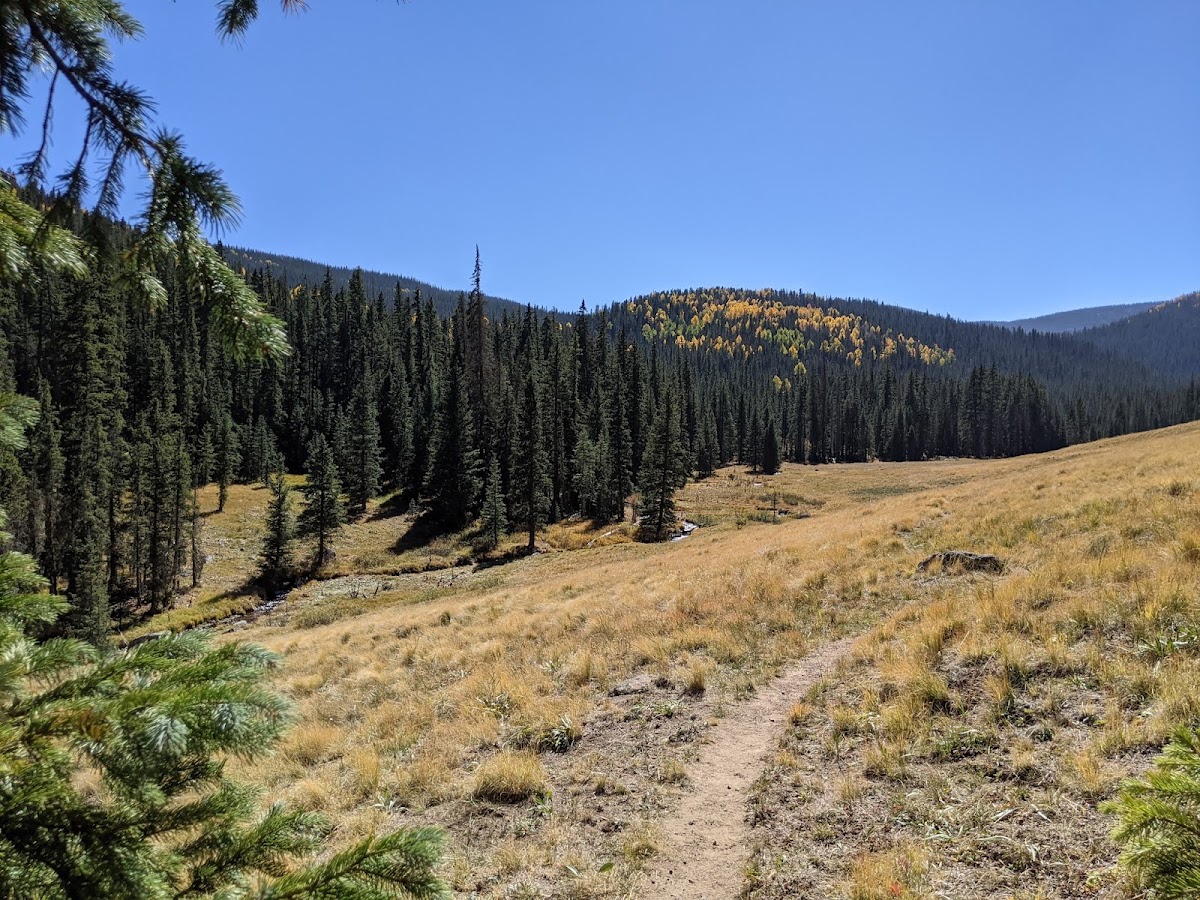 West Baldy Trail #94