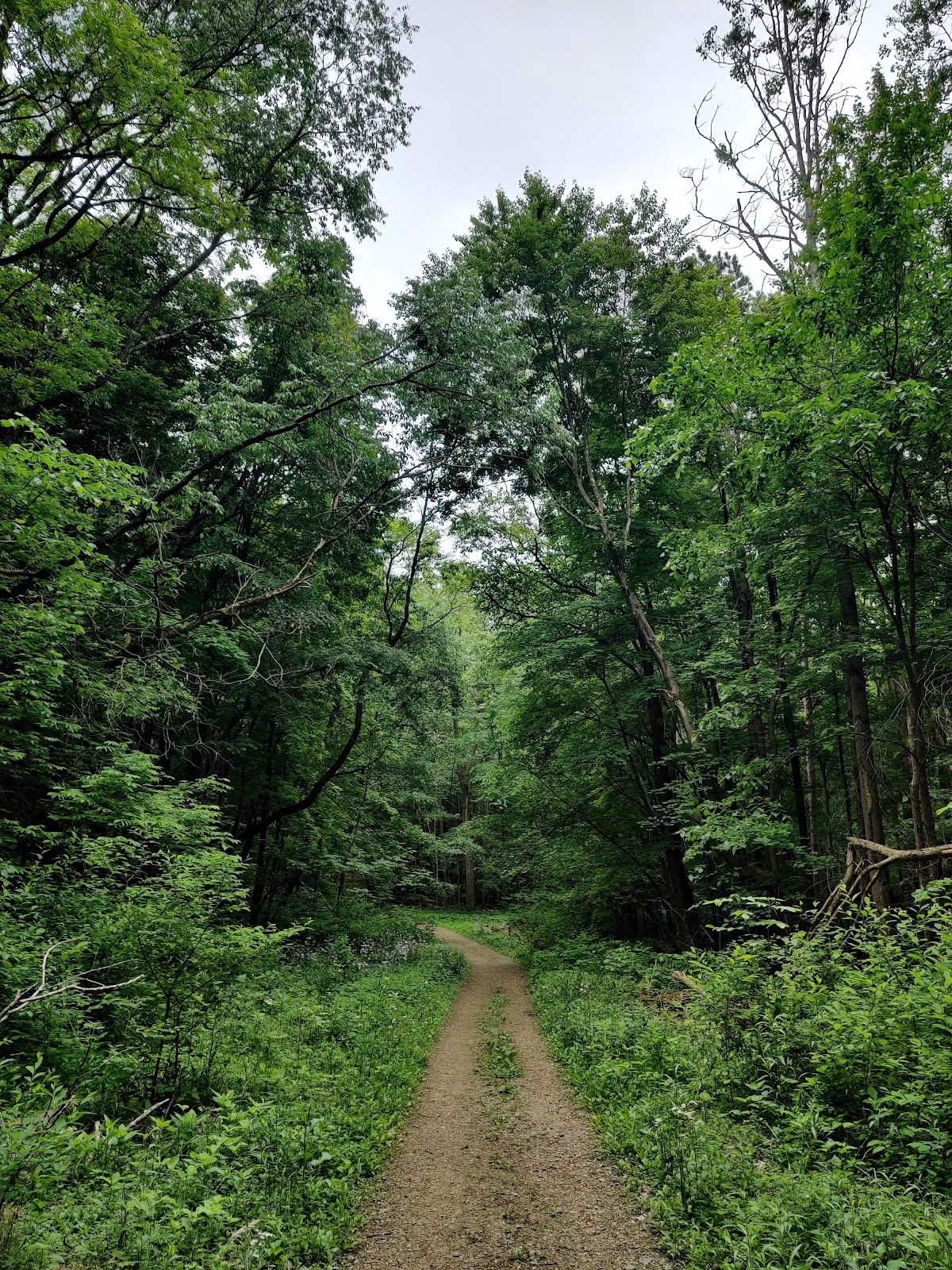 Furnace Run Connector