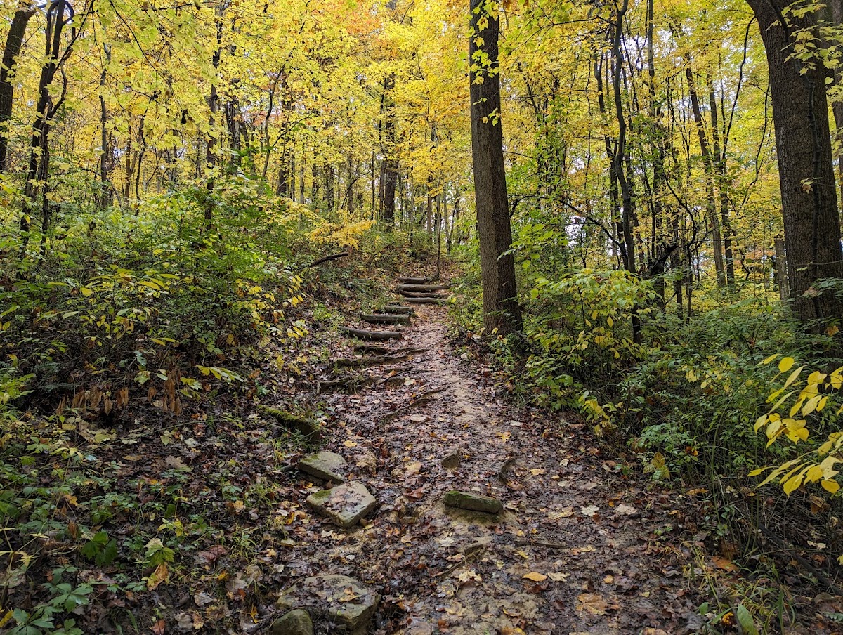 Riding Run Trail