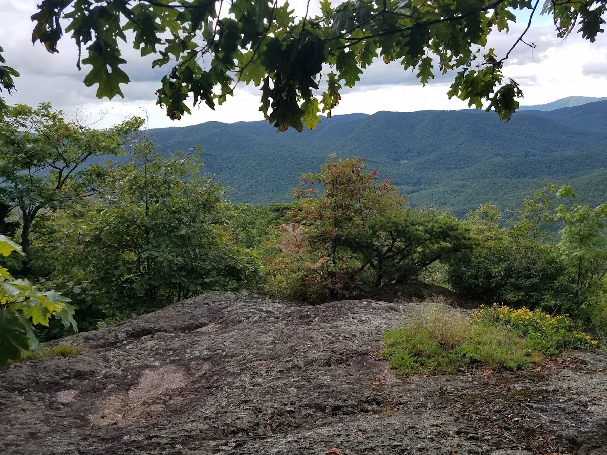 Colbert Ridge Trail